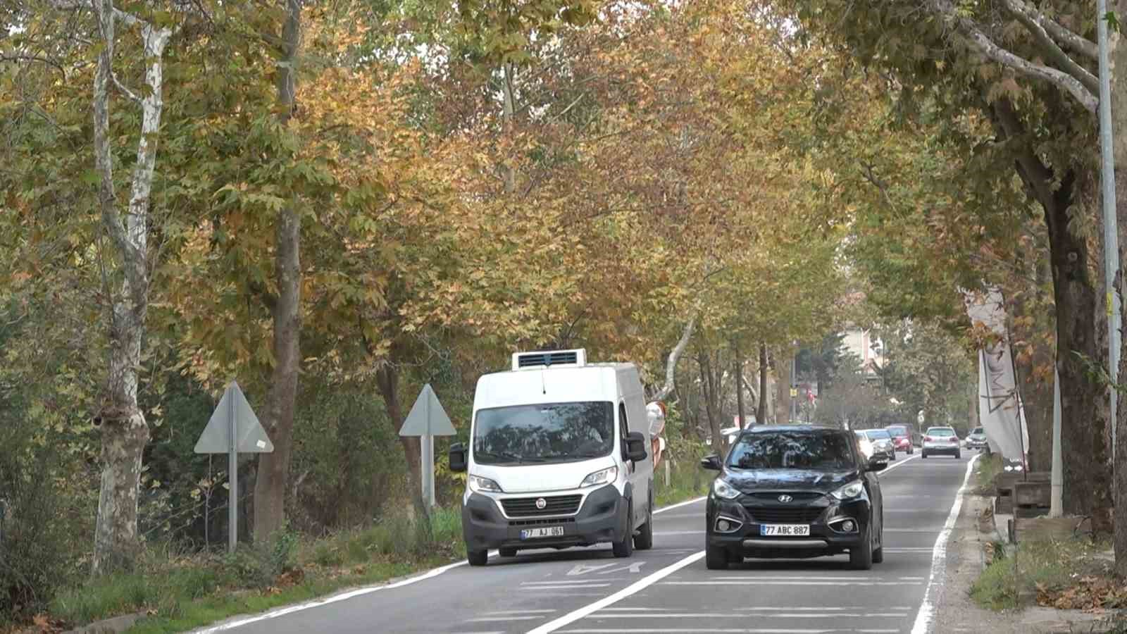 Ata yadigarı Çınarlı Hıyaban her mevsim ayrı güzel
