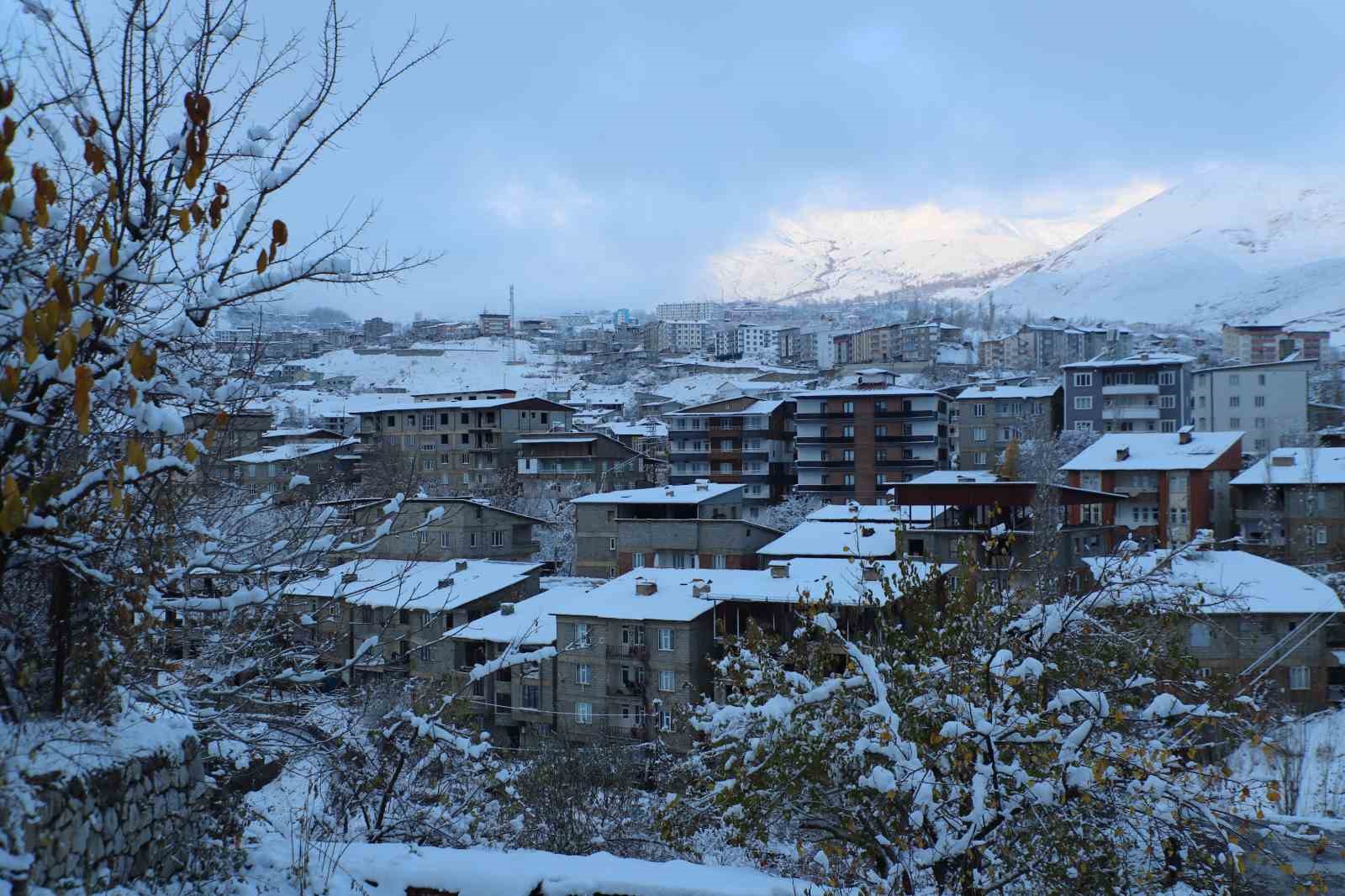 Hakkari’de 10 köy yolu ulaşıma kapandı
