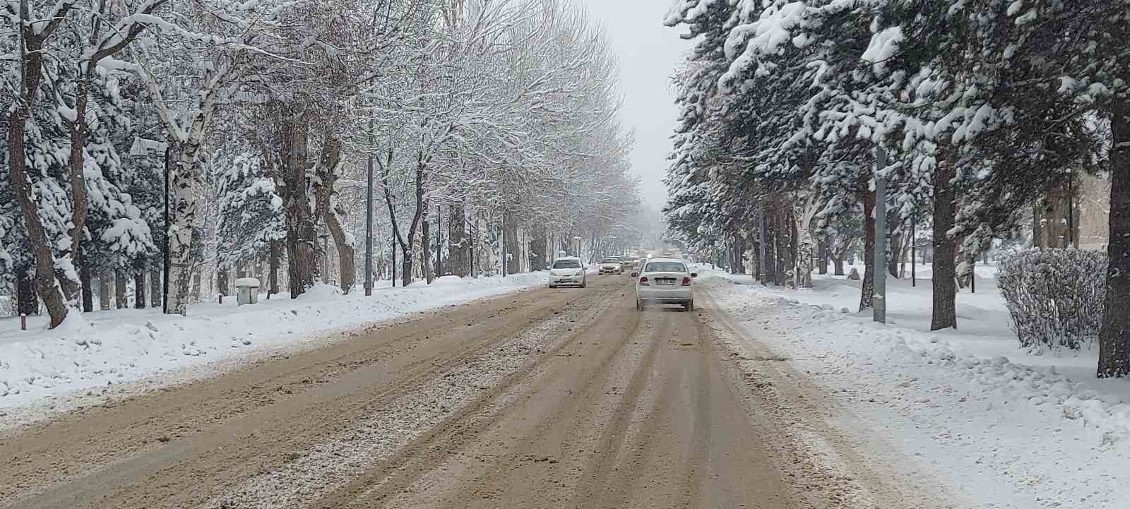 Kar Erzurum’u adeta esir aldı
