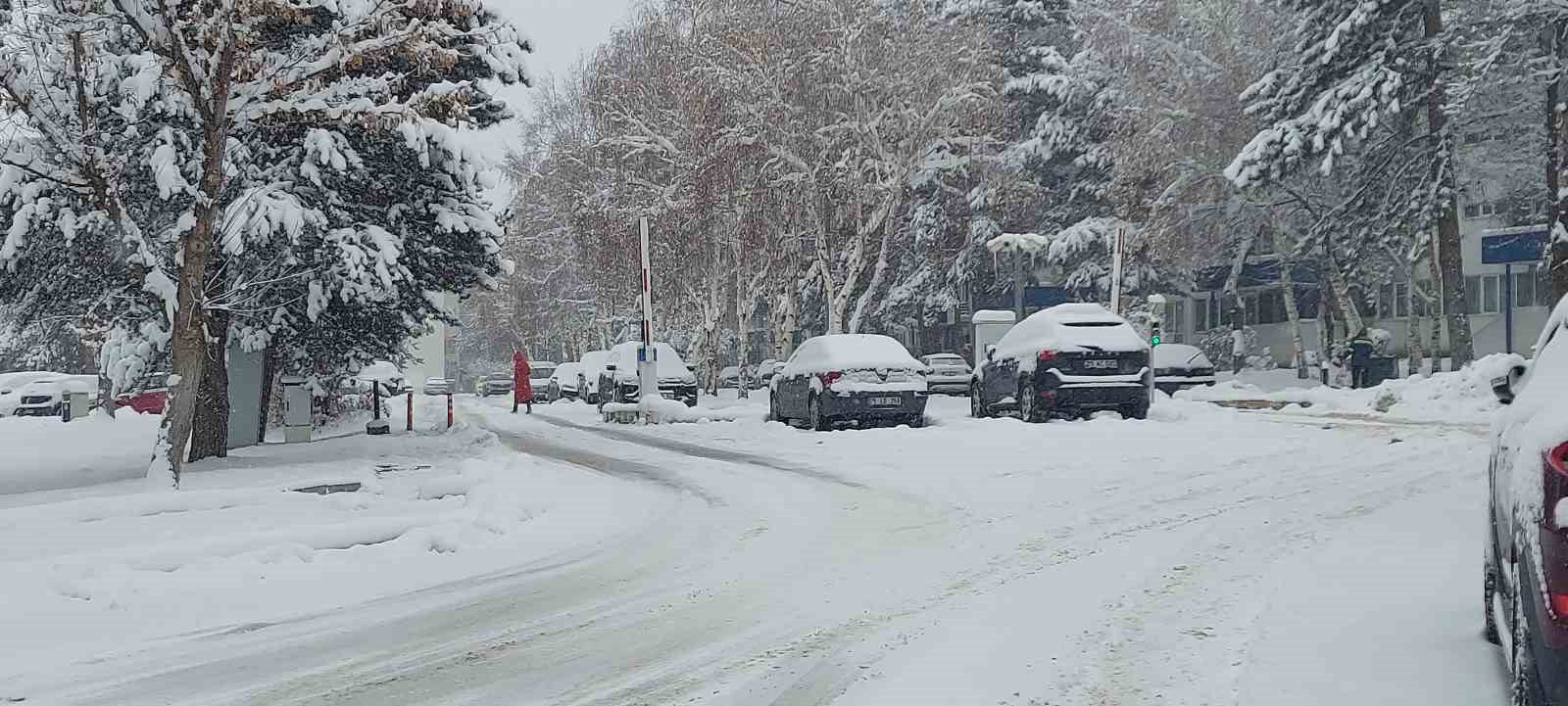 Kar Erzurum’u adeta esir aldı
