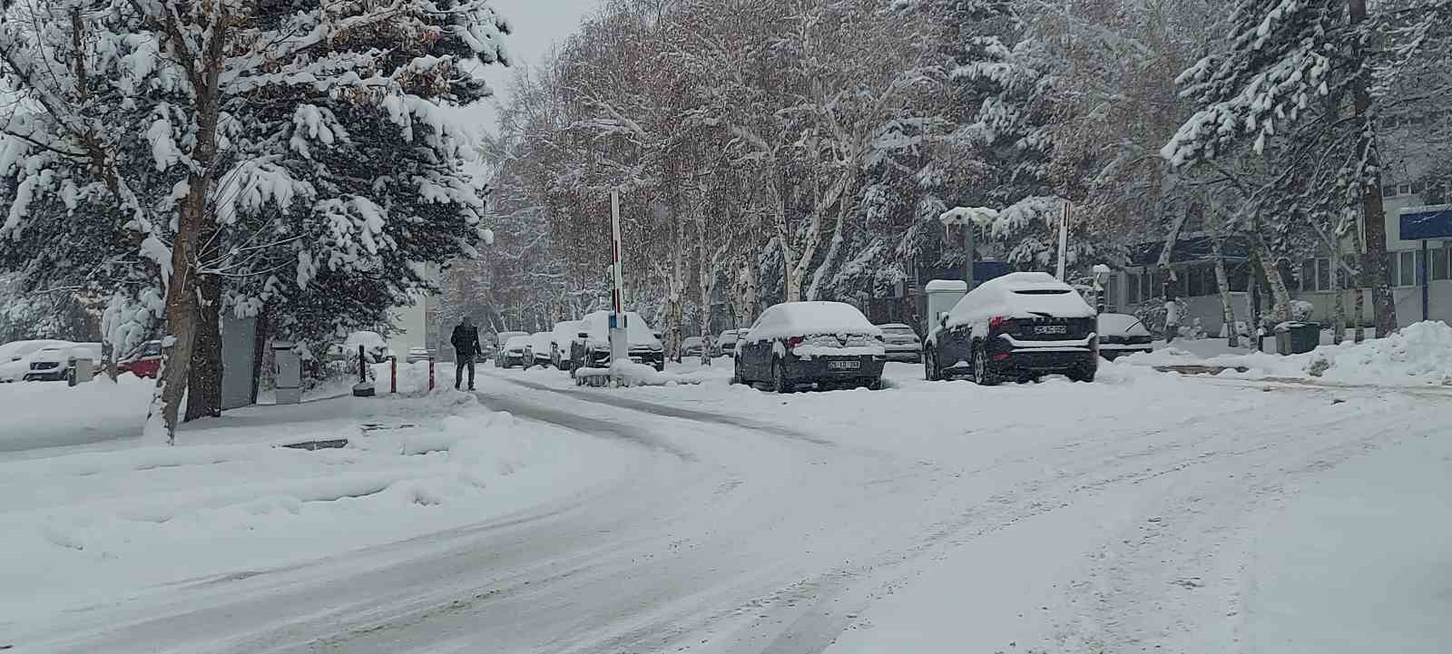 Kar Erzurum’u adeta esir aldı
