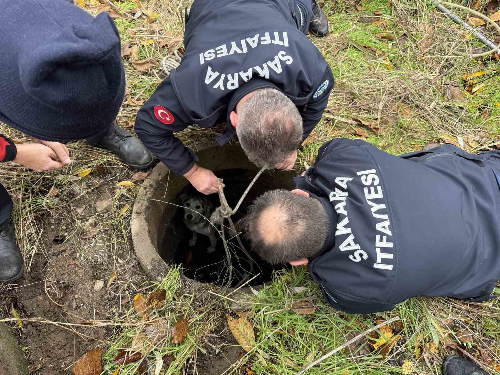 Kuyuya düşerek mahsur kalan sokak köpeğinin yardımına itfaiye koştu
