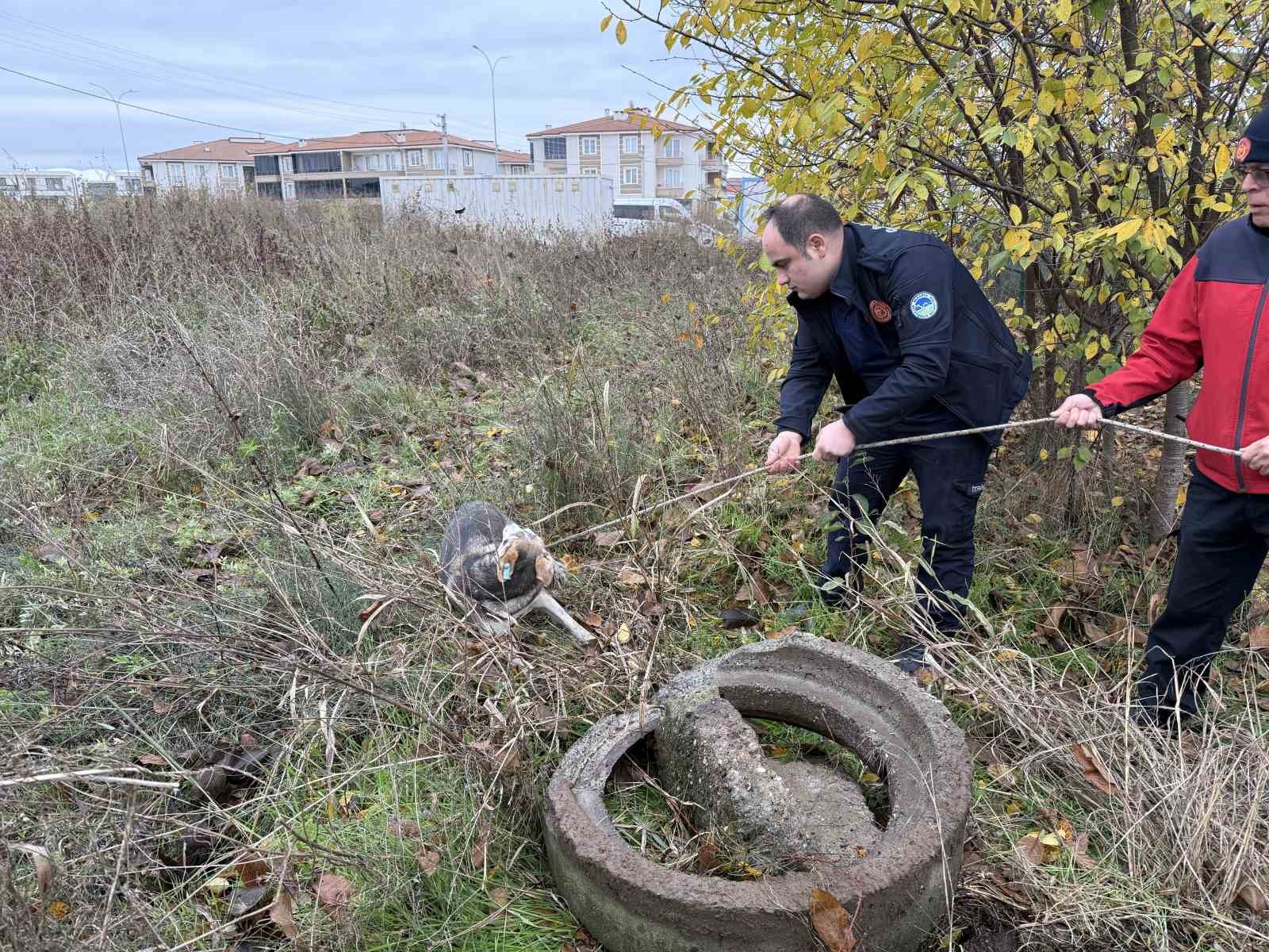 Kuyuya düşerek mahsur kalan sokak köpeğinin yardımına itfaiye koştu
