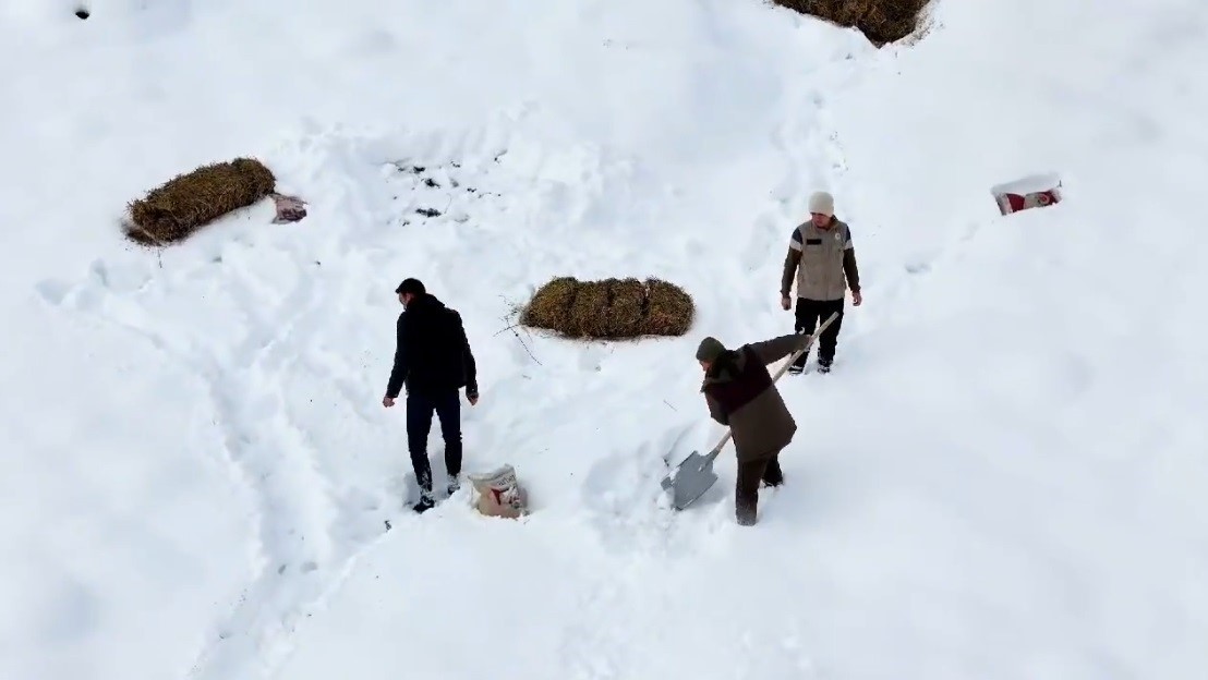 Erzincan’da yaban hayvanları için doğaya yem bırakıldı
