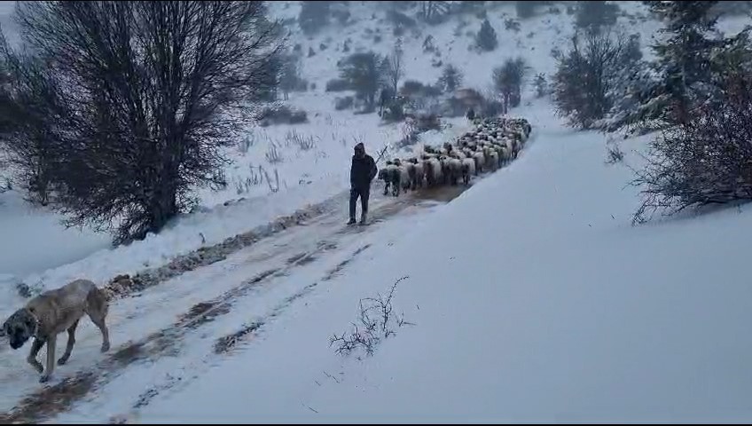 Karda mahsur kalanların yardımına belediye ekipleri koştu
