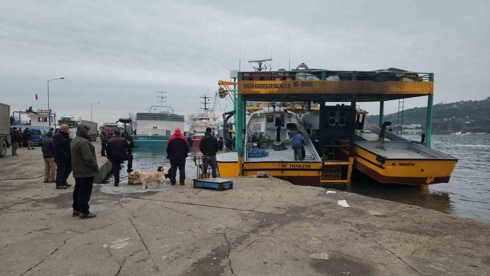 Karadeniz Ereğli Limanı’nda hamsi hareketliliği
