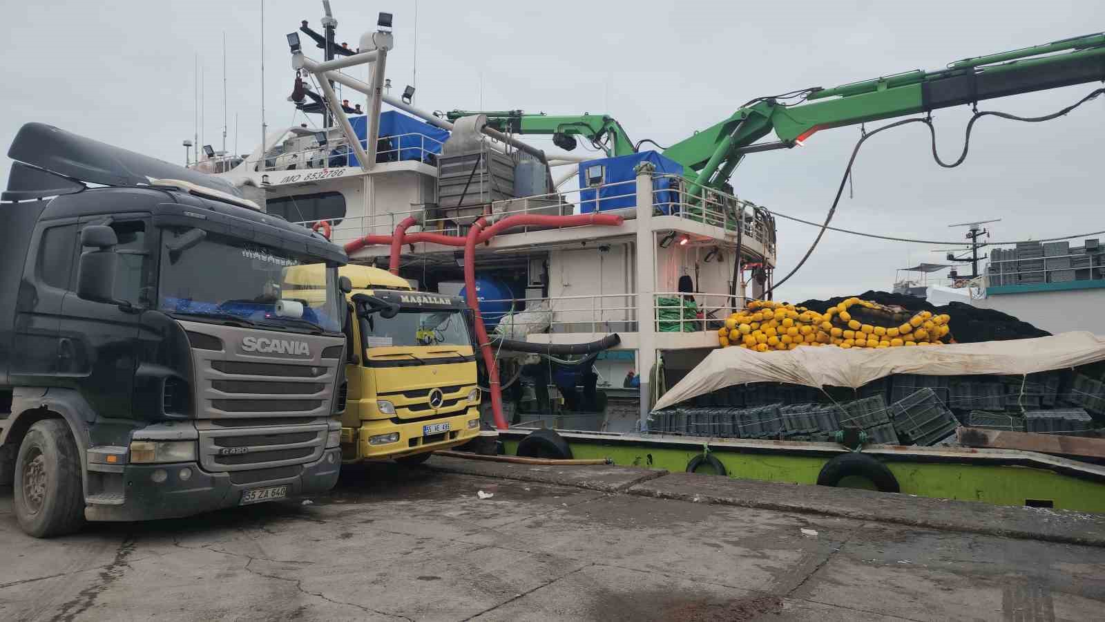 Karadeniz Ereğli Limanı’nda hamsi hareketliliği
