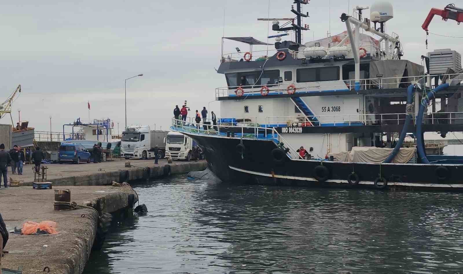 Karadeniz Ereğli Limanı’nda hamsi hareketliliği
