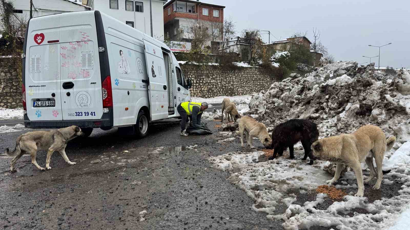 Ünye’de sokak hayvanlarına 23 ayda 24 ton mama verildi
