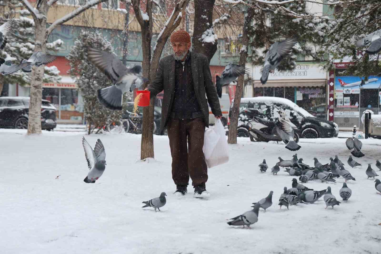 Rüyasında aldığı emirle 20 yıldır her gün kuşları besliyor
