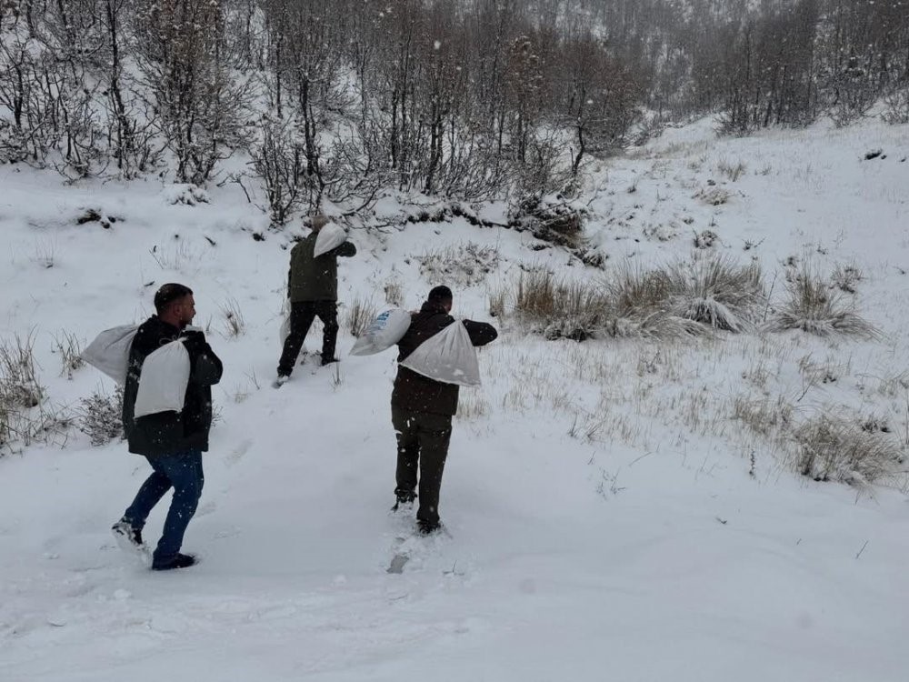 Siirt’te yaban hayvanları için doğaya yem bırakıldı
