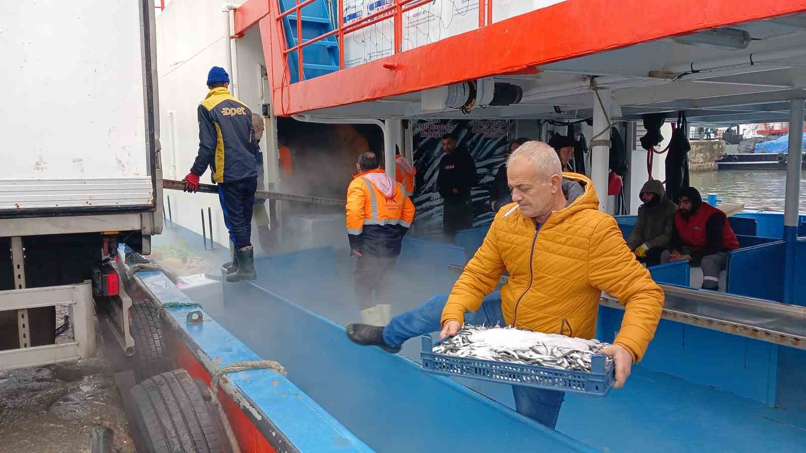 Karadeniz’den tonlarca hamsi çıktı
