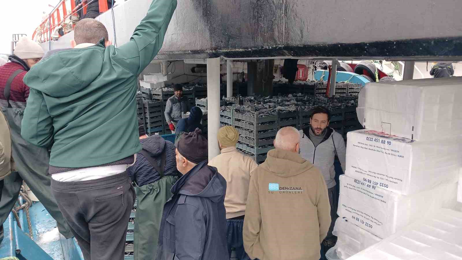 Karadeniz’den tonlarca hamsi çıktı
