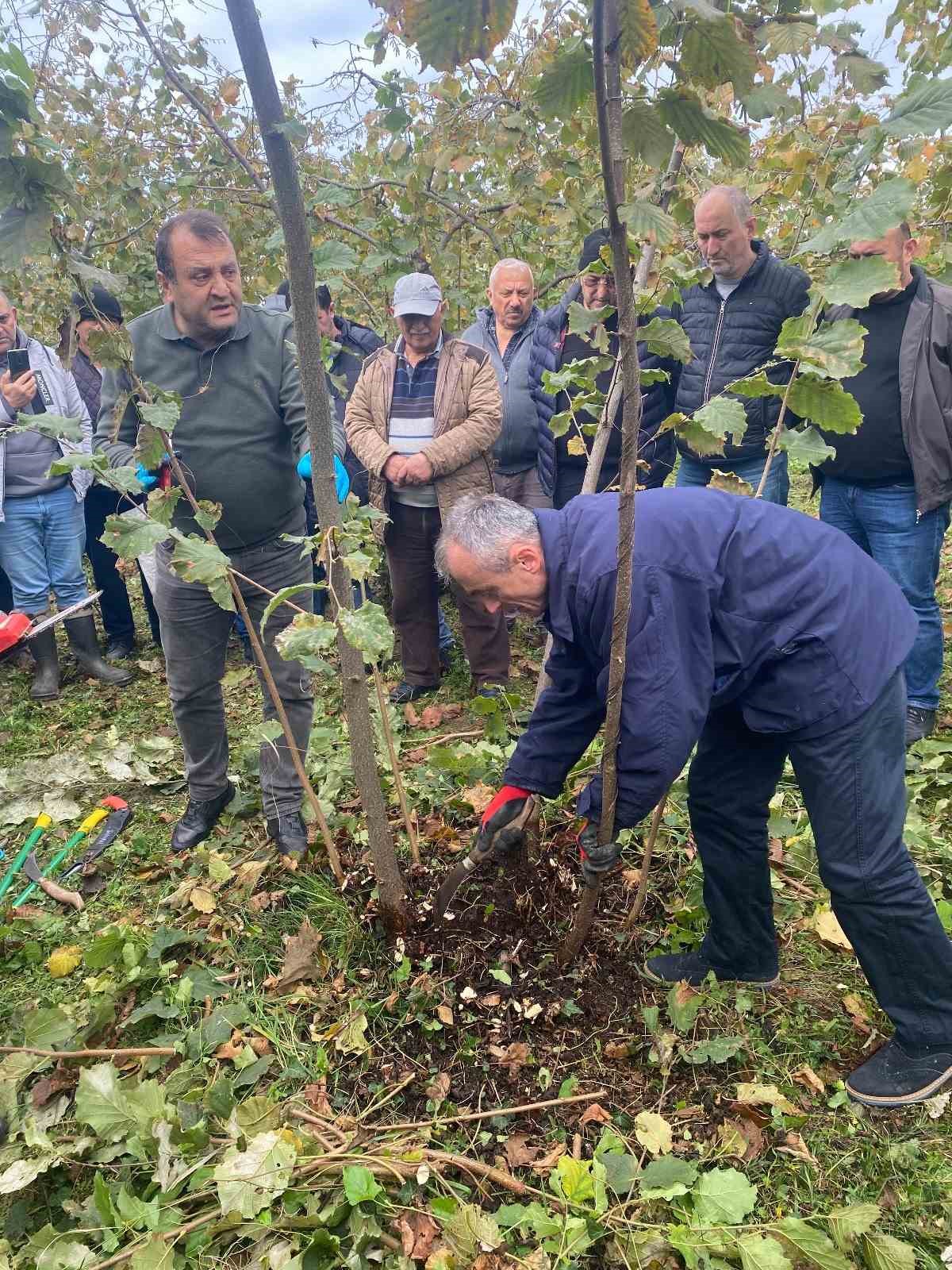 Giresun’da fındık verimini artıracak eğitim düzenlendi
