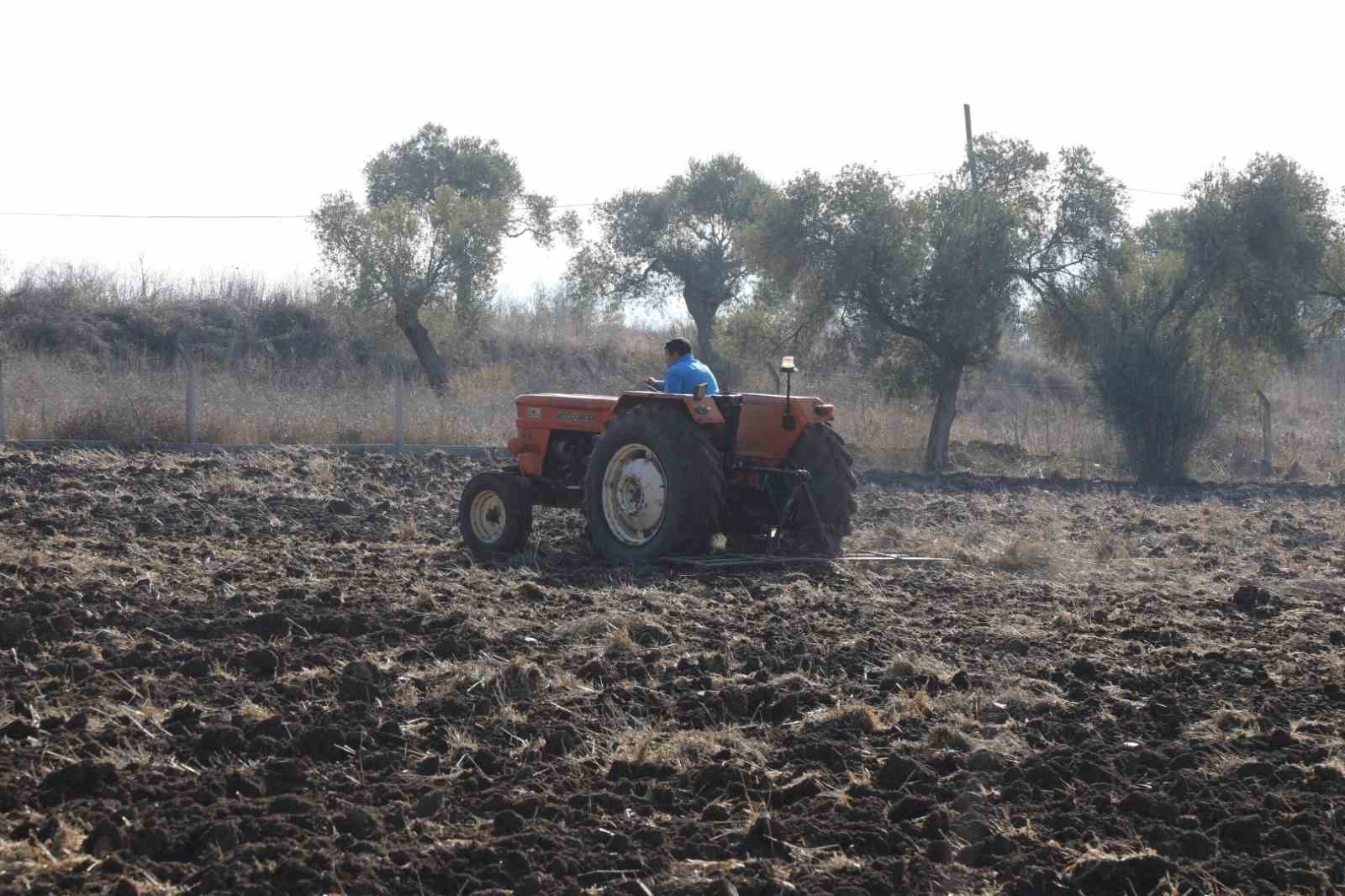 Bodrum Belediyesi’nden karakılçık buğday ekimi
