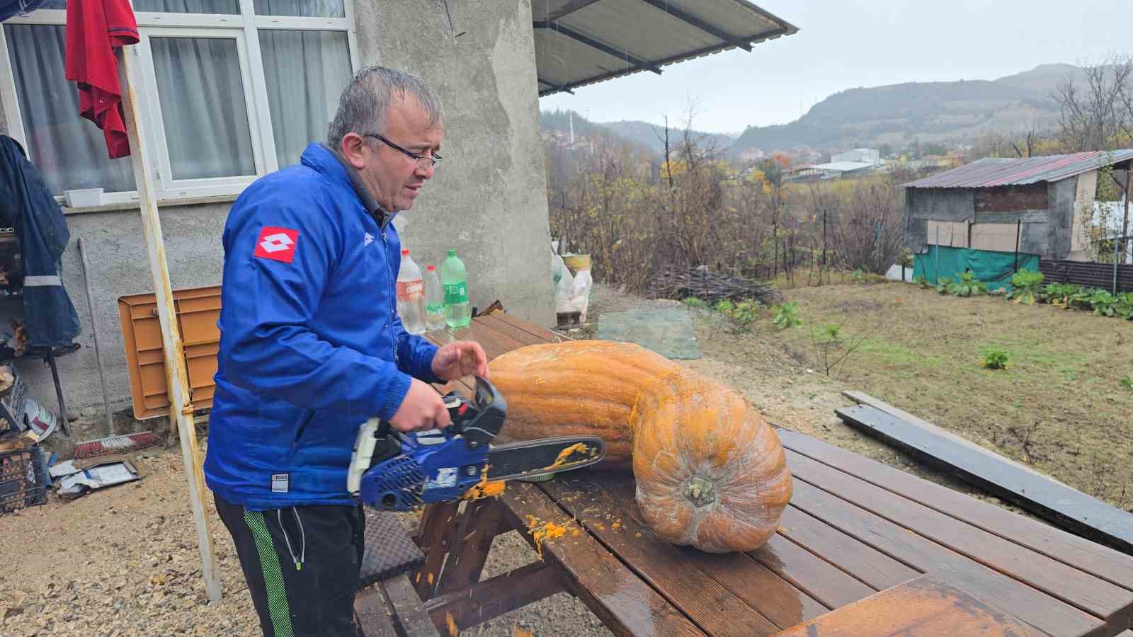 Bahçesinde yetişen 40 kiloluk dev kabağı motorlu testereyle kesebildi
