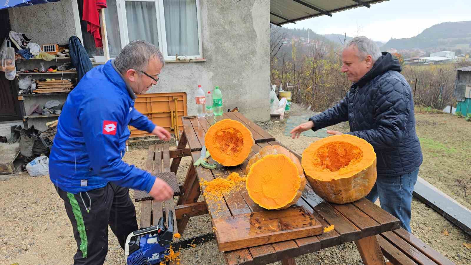 Bahçesinde yetişen 40 kiloluk dev kabağı motorlu testereyle kesebildi
