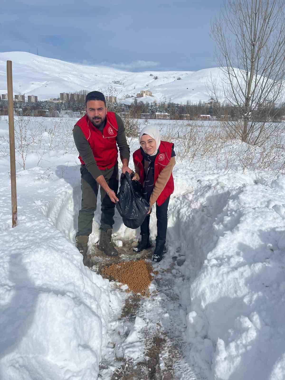 Gençlik Merkezi gönüllüleri sokak hayvanları için doğaya yiyecek bıraktı
