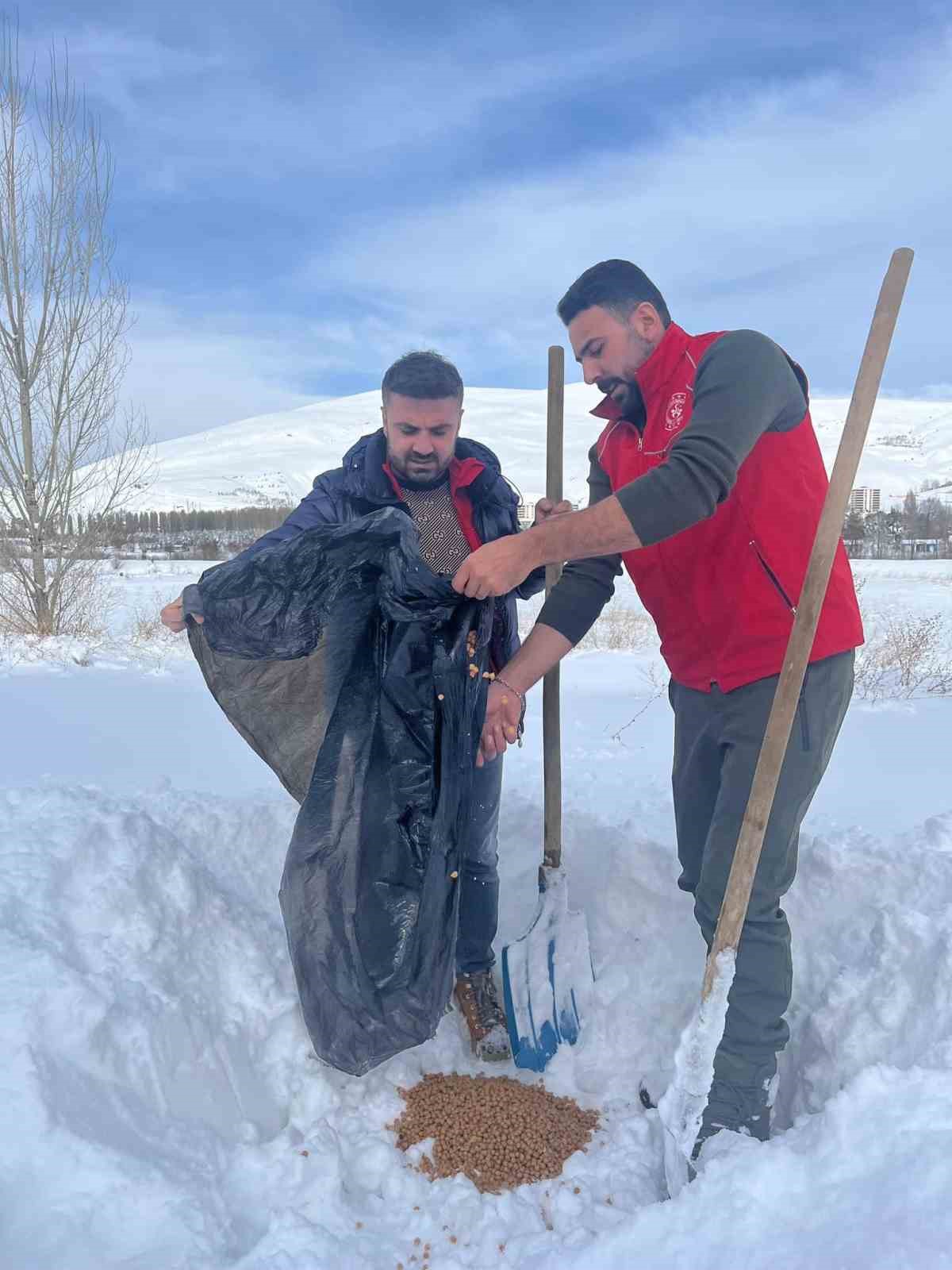 Gençlik Merkezi gönüllüleri sokak hayvanları için doğaya yiyecek bıraktı
