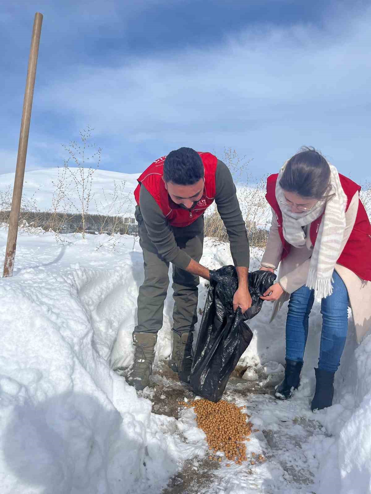 Gençlik Merkezi gönüllüleri sokak hayvanları için doğaya yiyecek bıraktı
