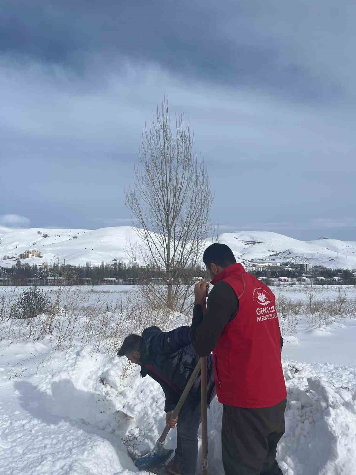 Gençlik Merkezi gönüllüleri sokak hayvanları için doğaya yiyecek bıraktı
