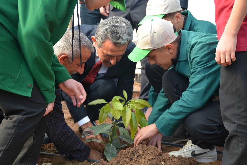 Şırnak’ta avokado, pepino, çarkıfelek ve papaya meyvelerinin fideleri ekildi
