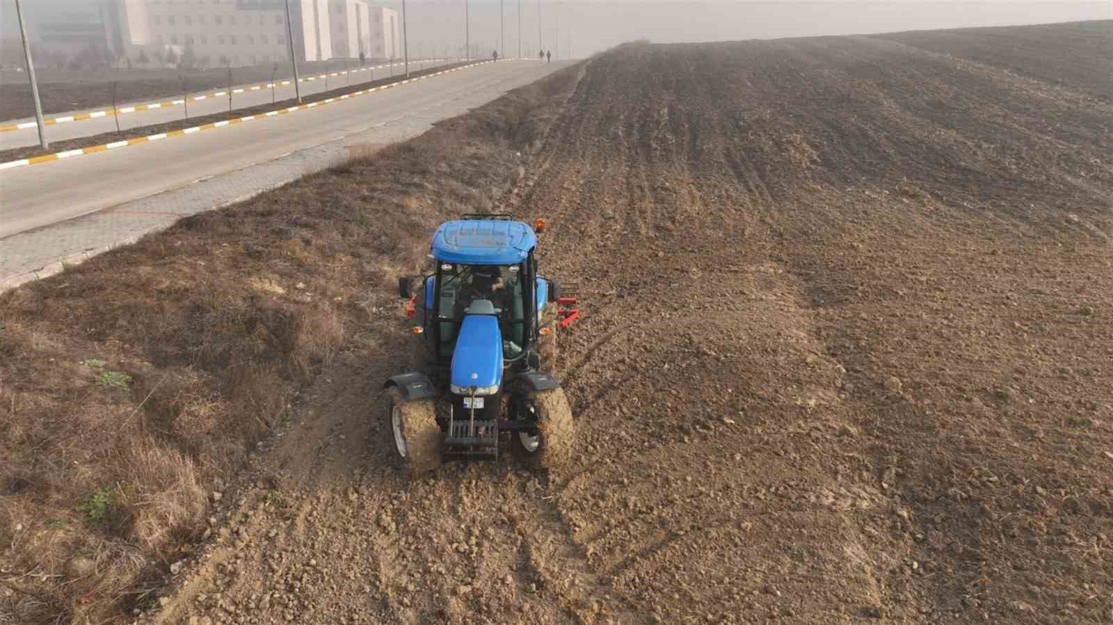 Balıkesir’de yem maliyetlerini düşürecek hamle
