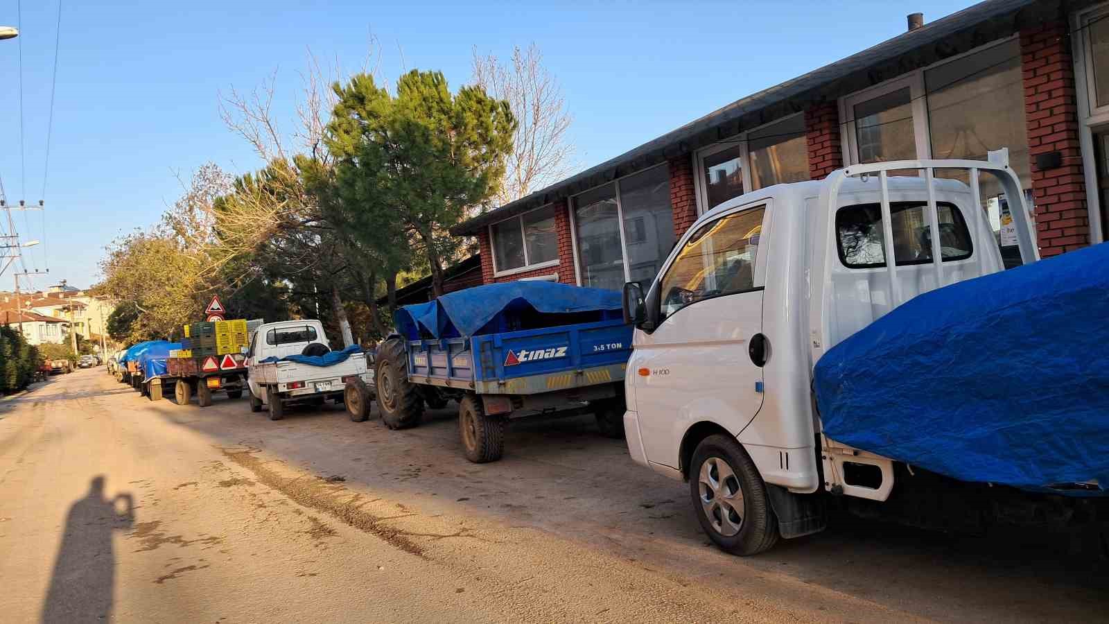 Bursa’da zeytin üreticilerinin Tarım Kredi çilesi
