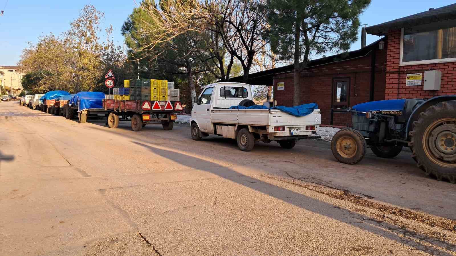 Bursa’da zeytin üreticilerinin Tarım Kredi çilesi
