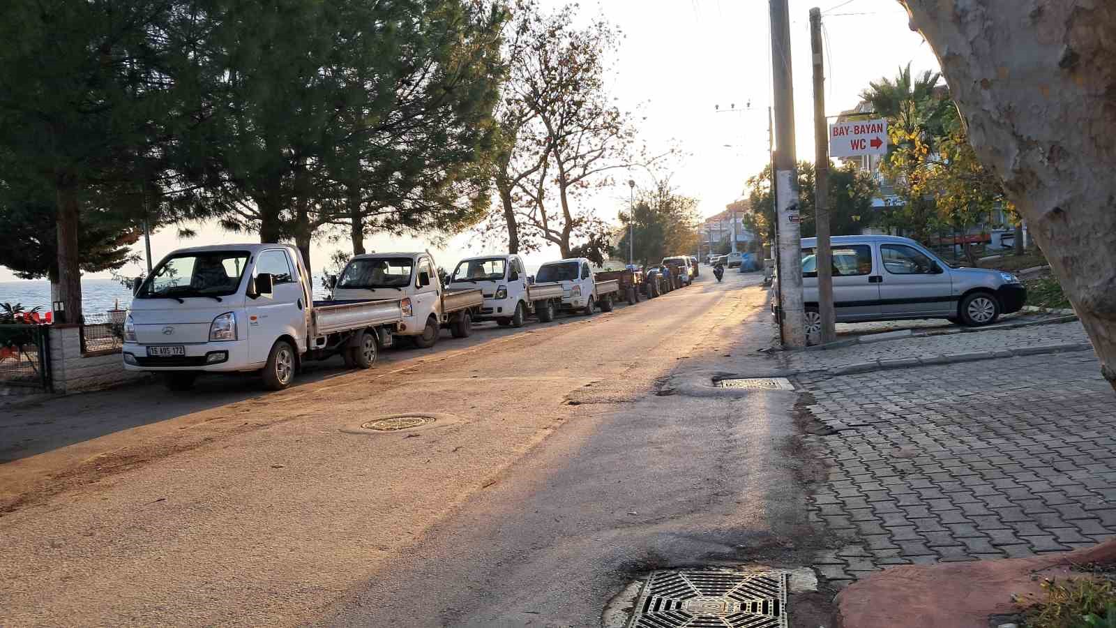 Bursa’da zeytin üreticilerinin Tarım Kredi çilesi
