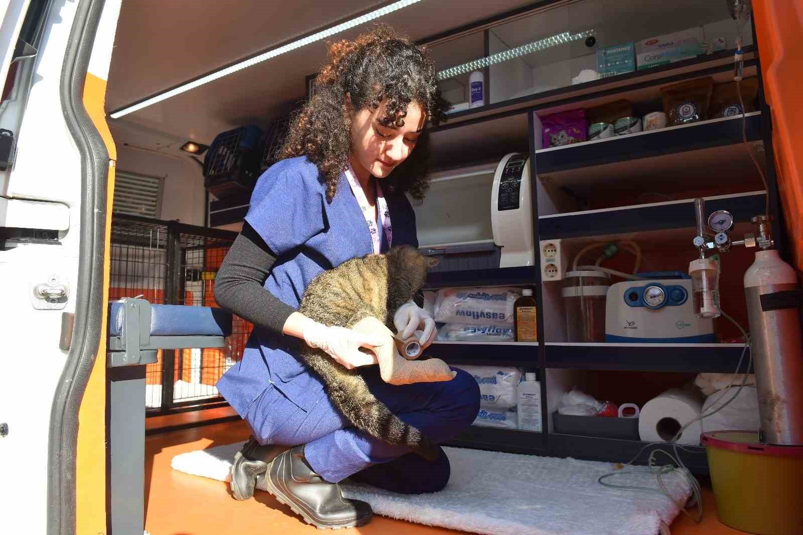 Yıldırım’da ‘can dostu’ ambulans
