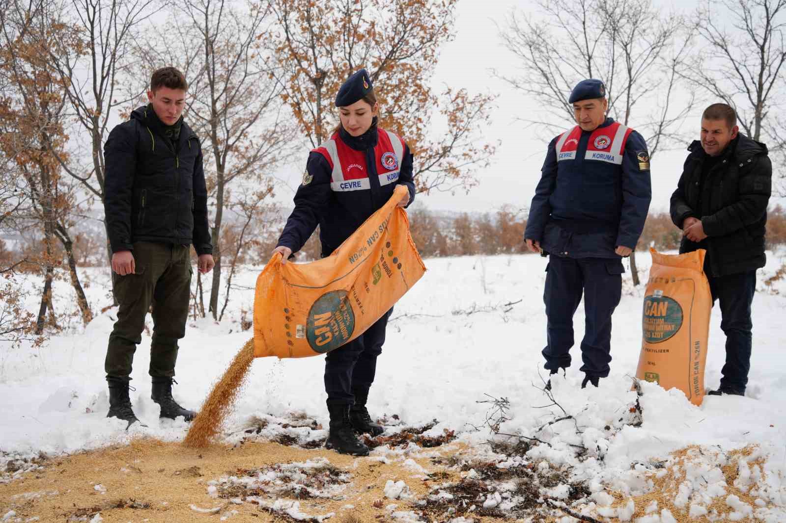 Karlı dağları aştılar, doğanın sessiz sakinlerine umut oldular
