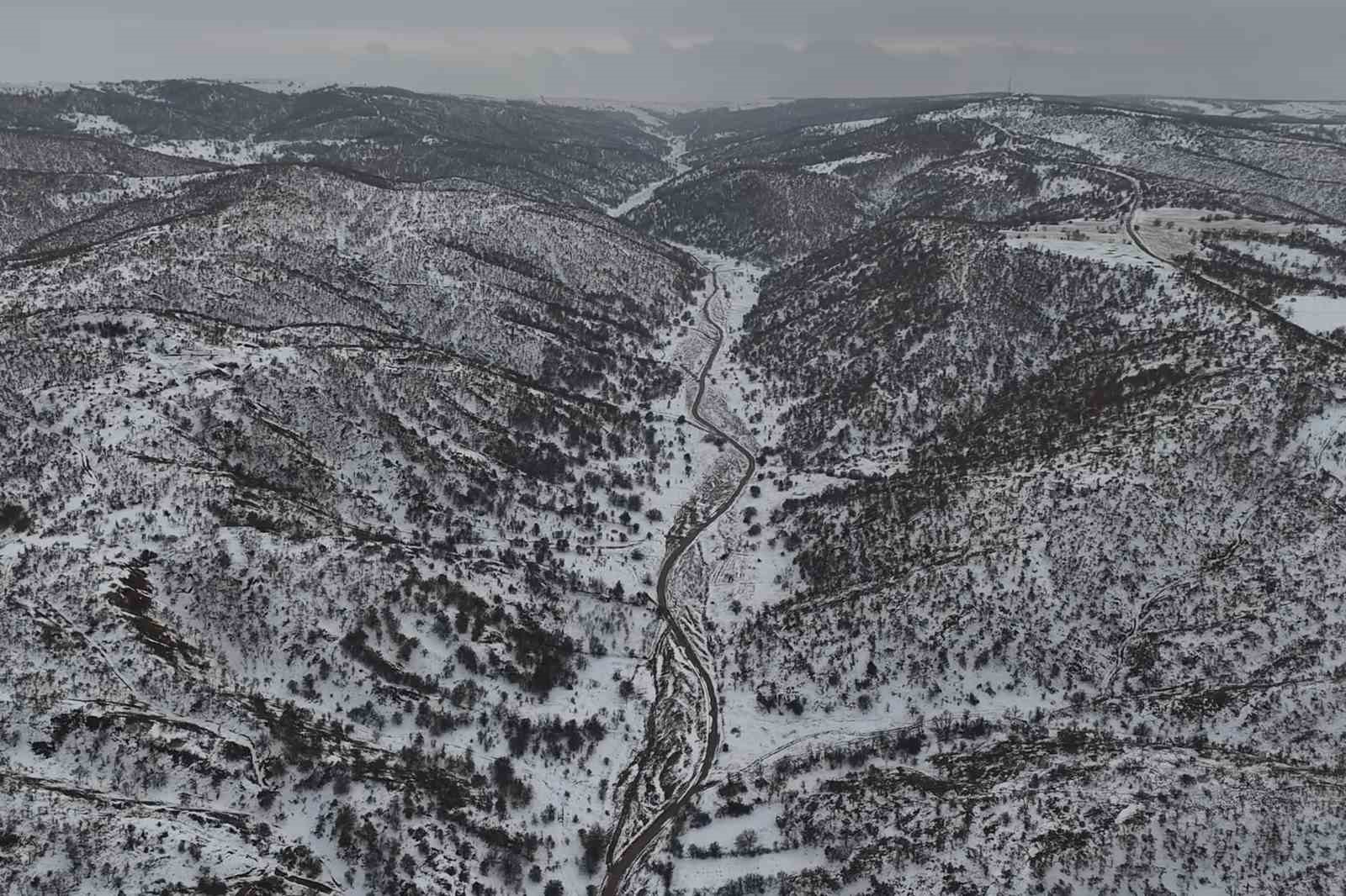 Karlı dağları aştılar, doğanın sessiz sakinlerine umut oldular
