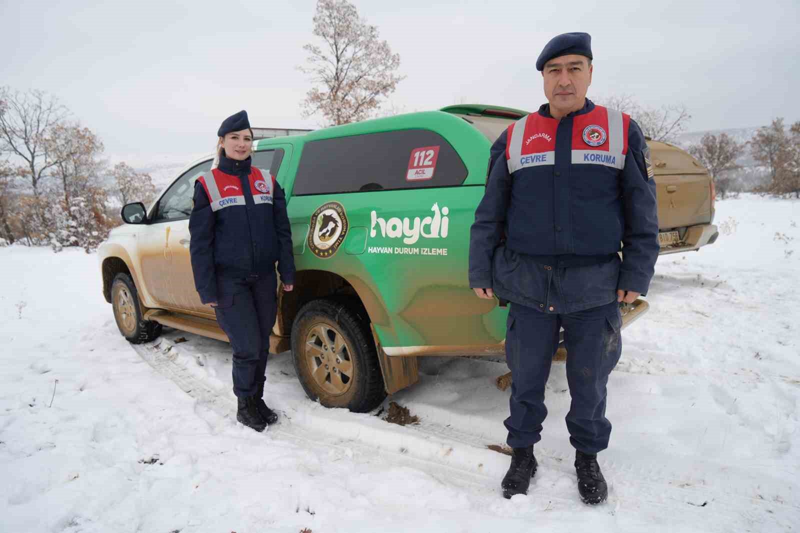 Karlı dağları aştılar, doğanın sessiz sakinlerine umut oldular
