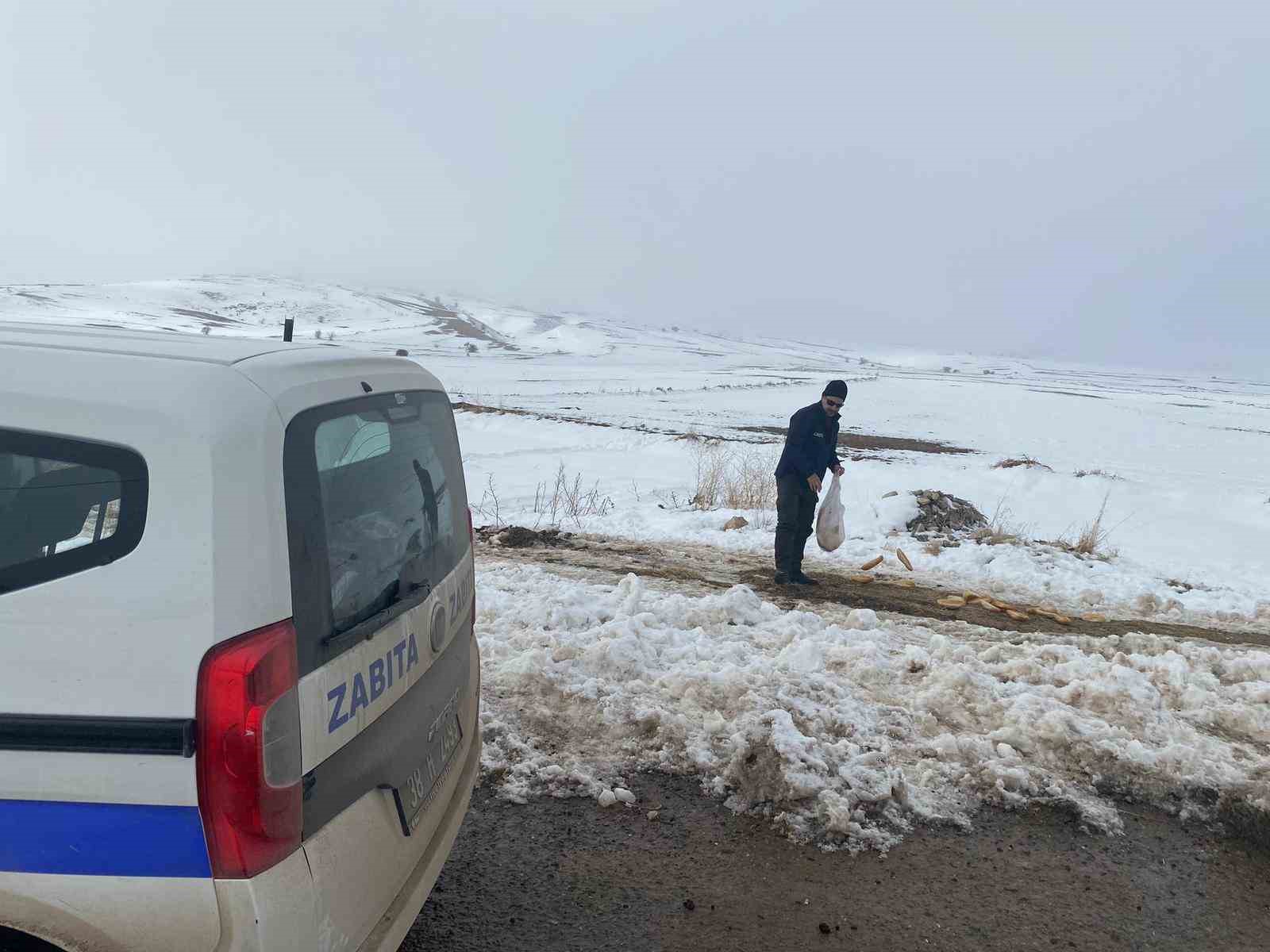 Bünyan Belediyesi’nden sokaktaki hayvanlarına yardım eli
