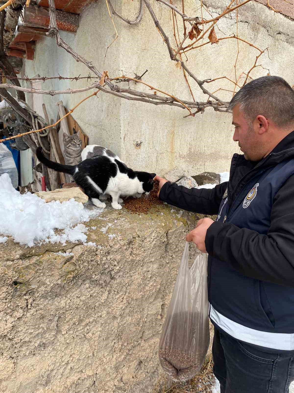 Bünyan Belediyesi’nden sokaktaki hayvanlarına yardım eli
