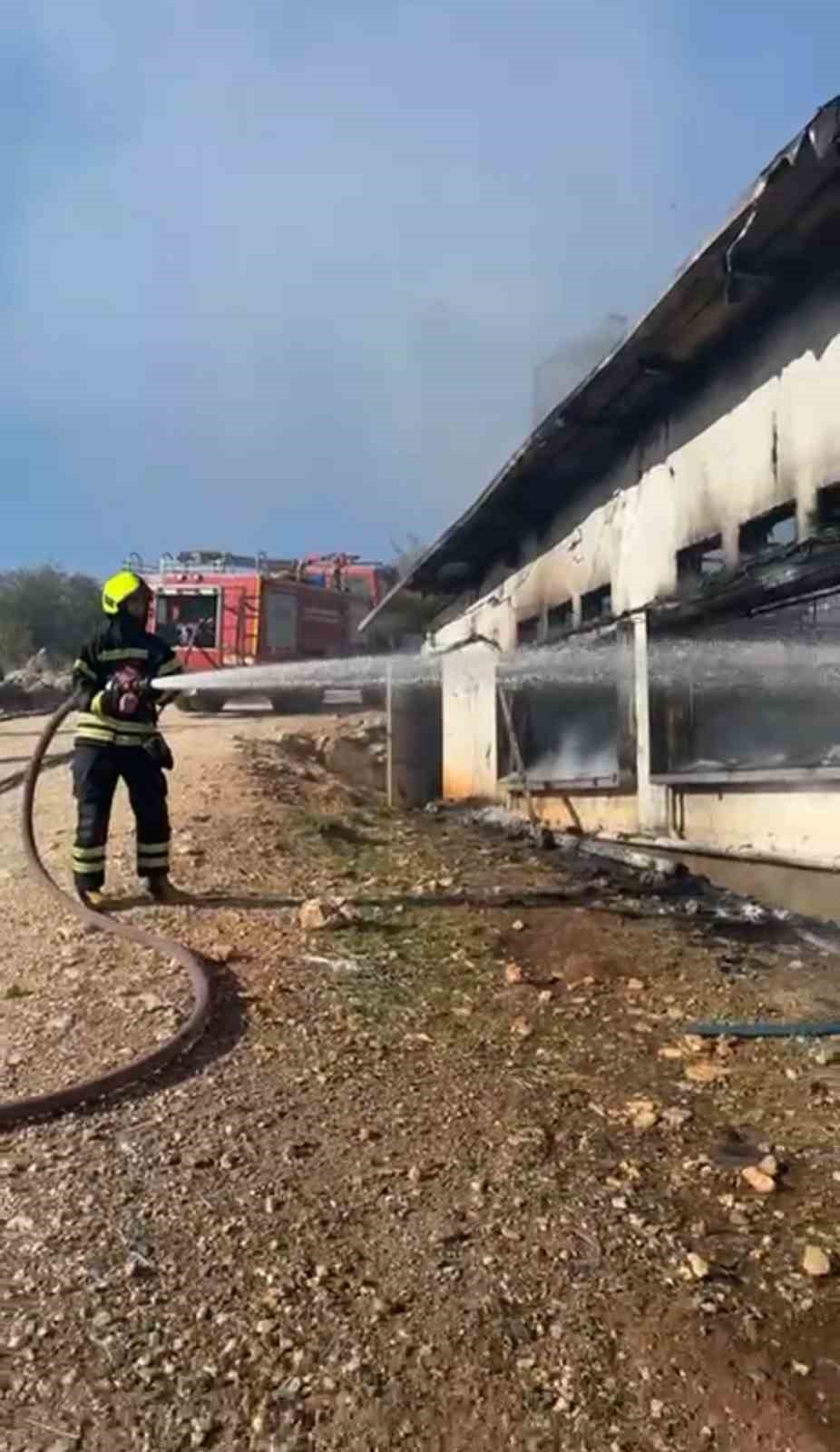 Tarsus‘ta tavuk çiftliğinde yangın 33 bin civciv telef oldu
