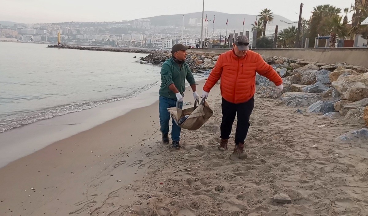 Tırtak türü yunus karaya vurdu
