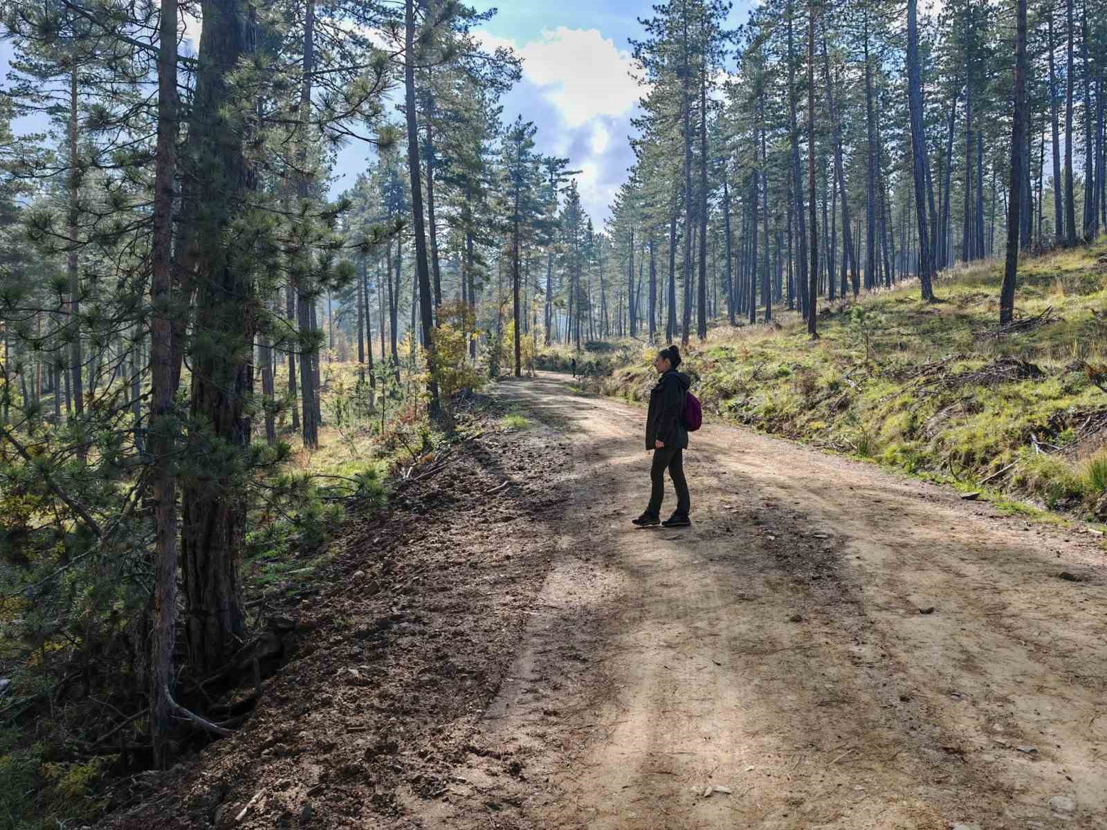 Kastamonu’da yaban hayatı envanteri tamamlandı
