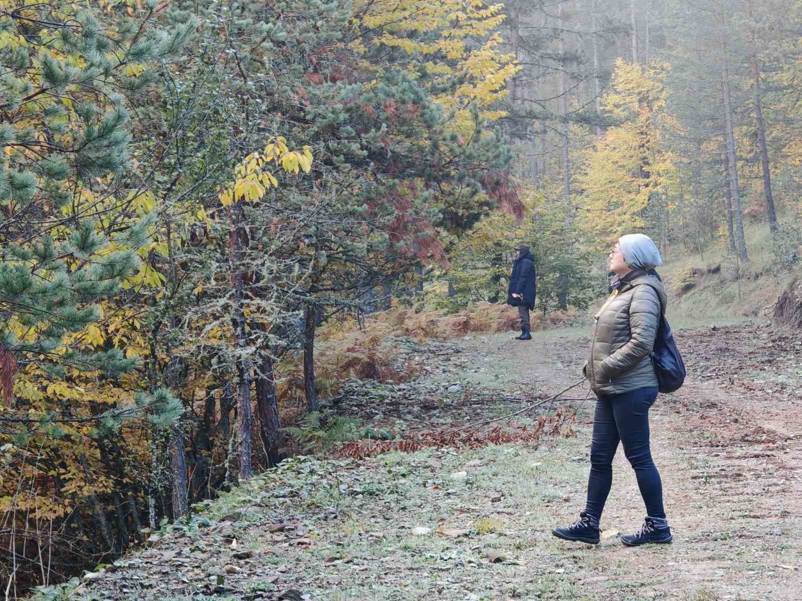 Kastamonu’da yaban hayatı envanteri tamamlandı
