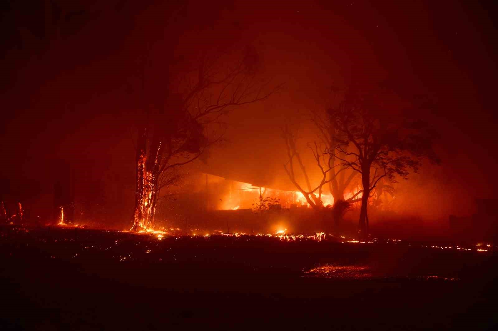 California’da orman yangını: 3 bin 983 dönüm arazi küle döndü
