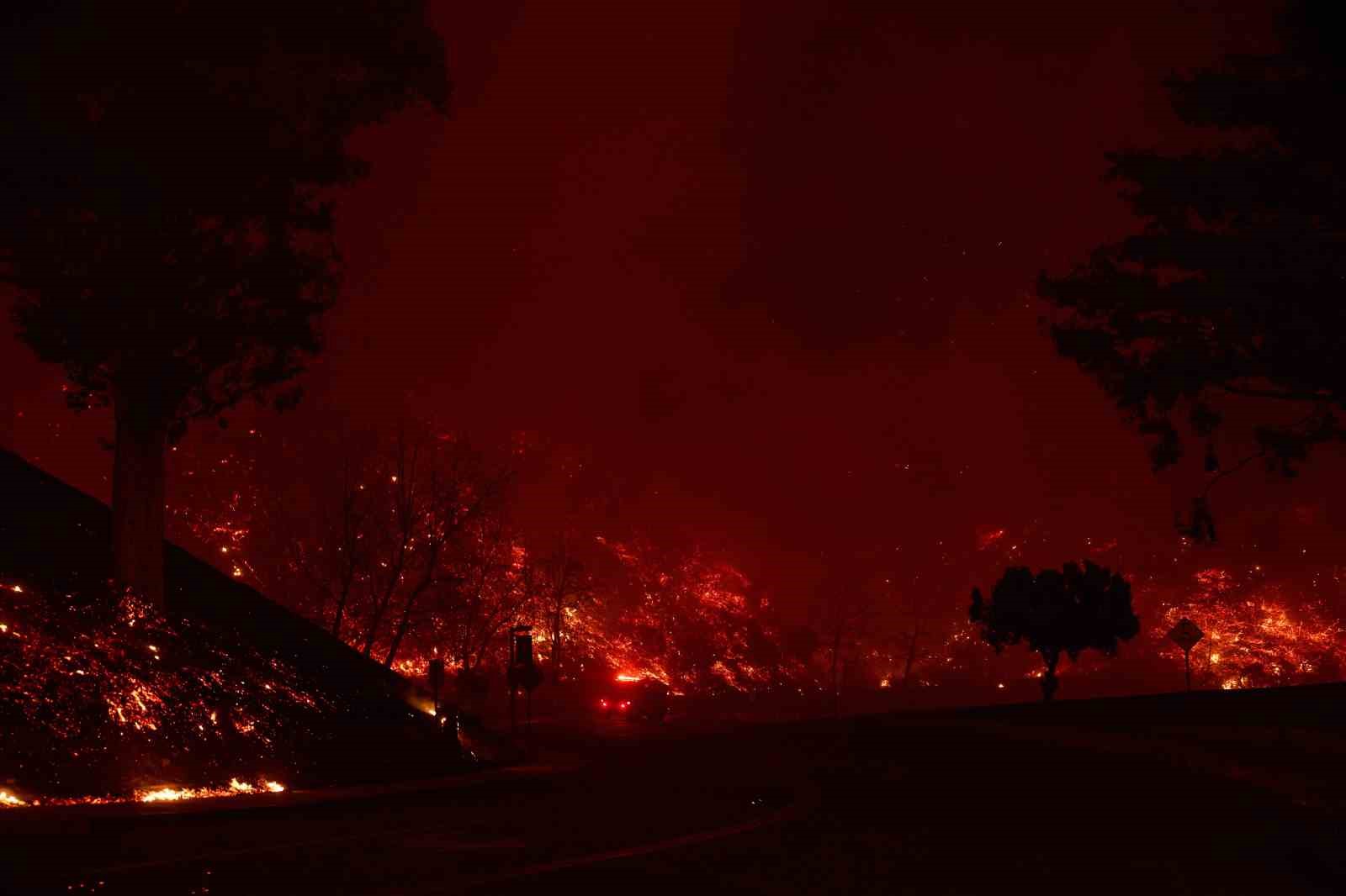 California’da orman yangını: 3 bin 983 dönüm arazi küle döndü
