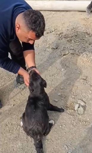 Hatay’da 17 metre derinliğindeki kuyuya düşen köpeği itfaiye kurtardı
