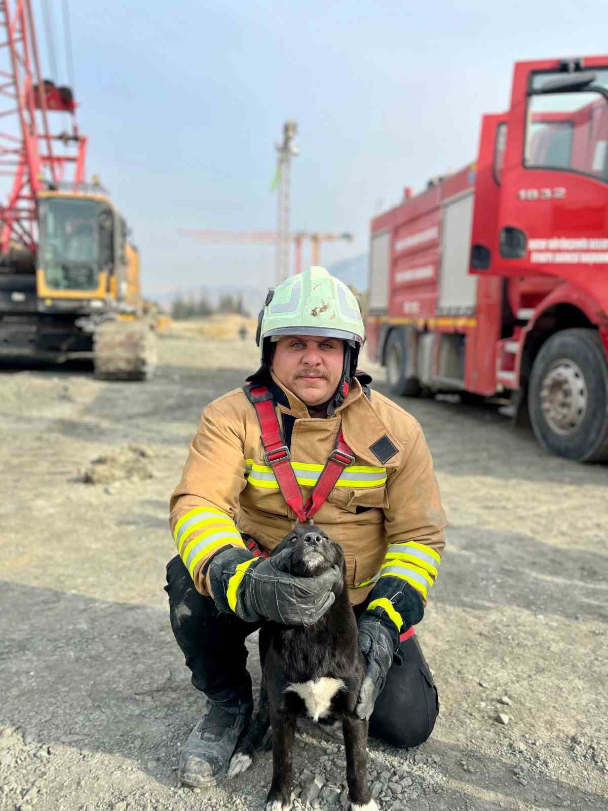 Hatay’da 17 metre derinliğindeki kuyuya düşen köpeği itfaiye kurtardı
