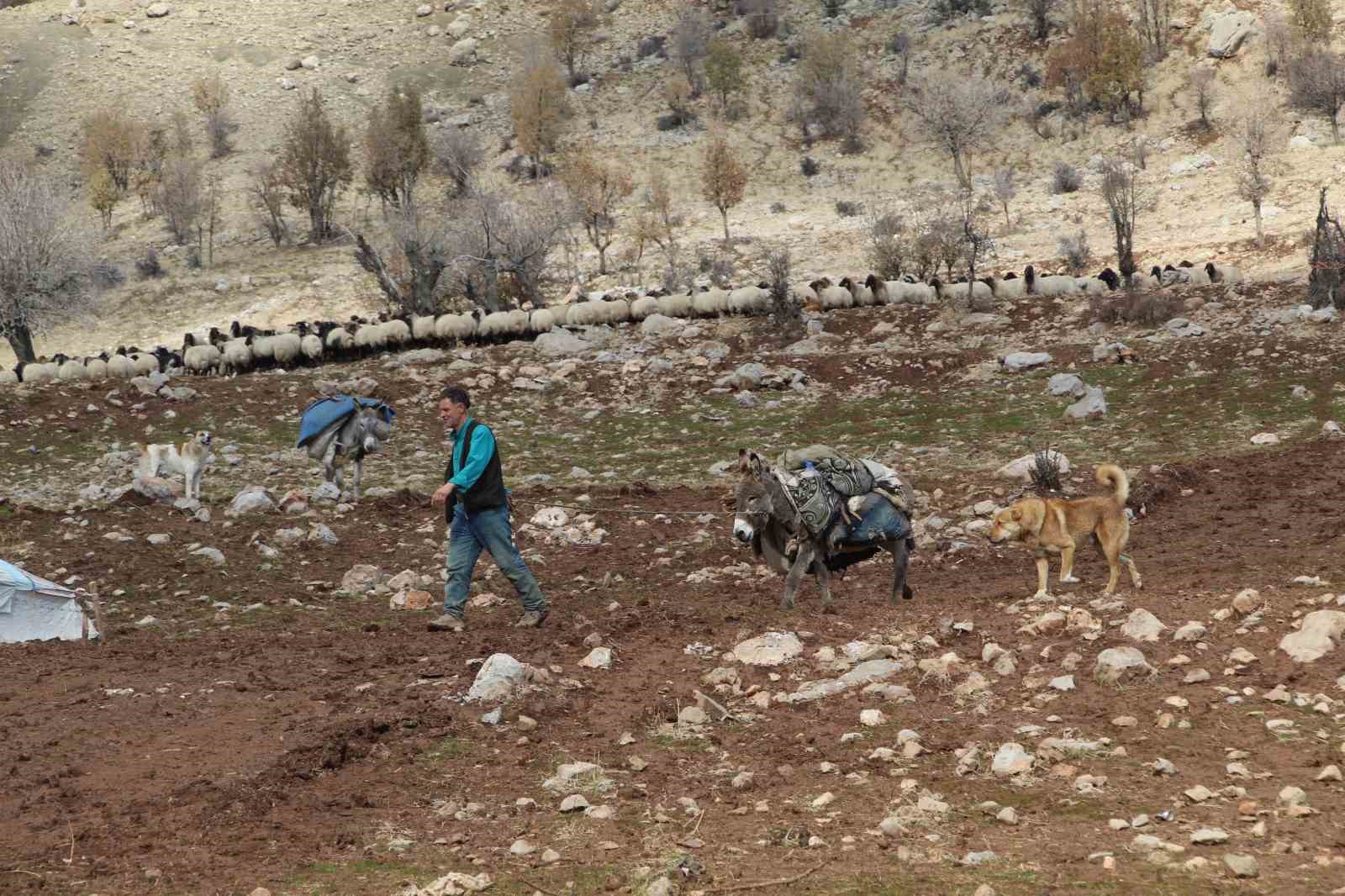 Şırnak’ta göçerlerin kışlaklara doğru zorlu yolculukları devam ediyor
