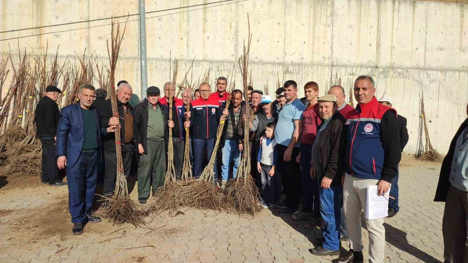 Aydın’da üreticilere kestane fidanı dağıtılıyor
