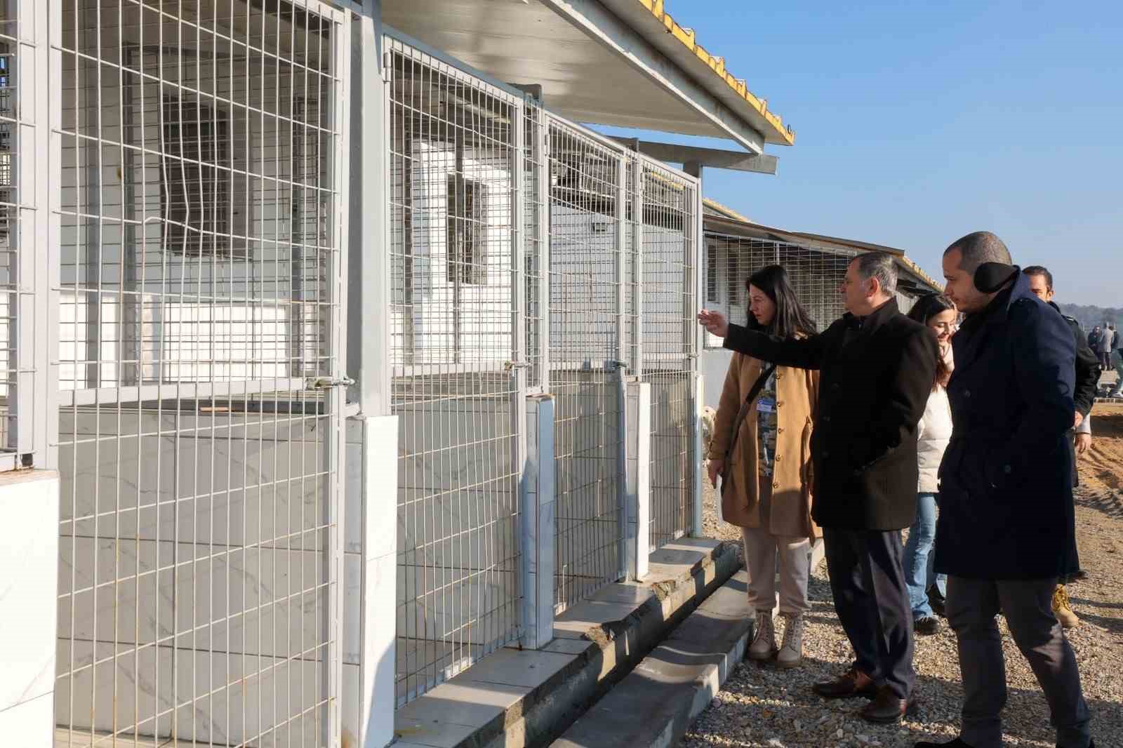 Ege Bölgesi’nin en büyük hayvan yaşam merkezi martta açılıyor
