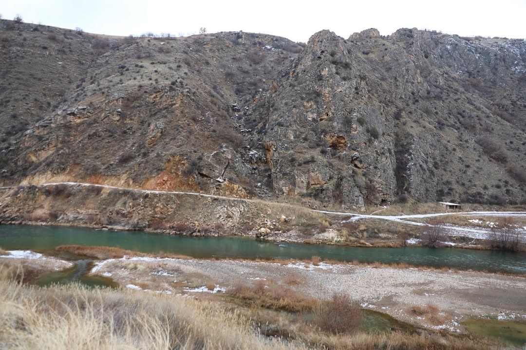 Vali Çiçek; tedavisi tamamlanan hayvanları doğaya saldı
