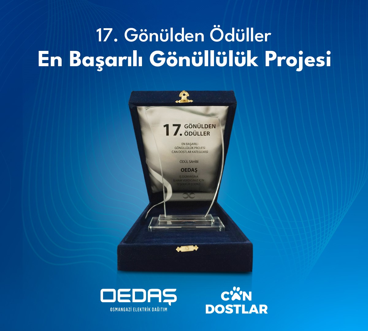 Can Dostlar projesi 17. Gönülden Ödüller’de ödüle layık görüldü
