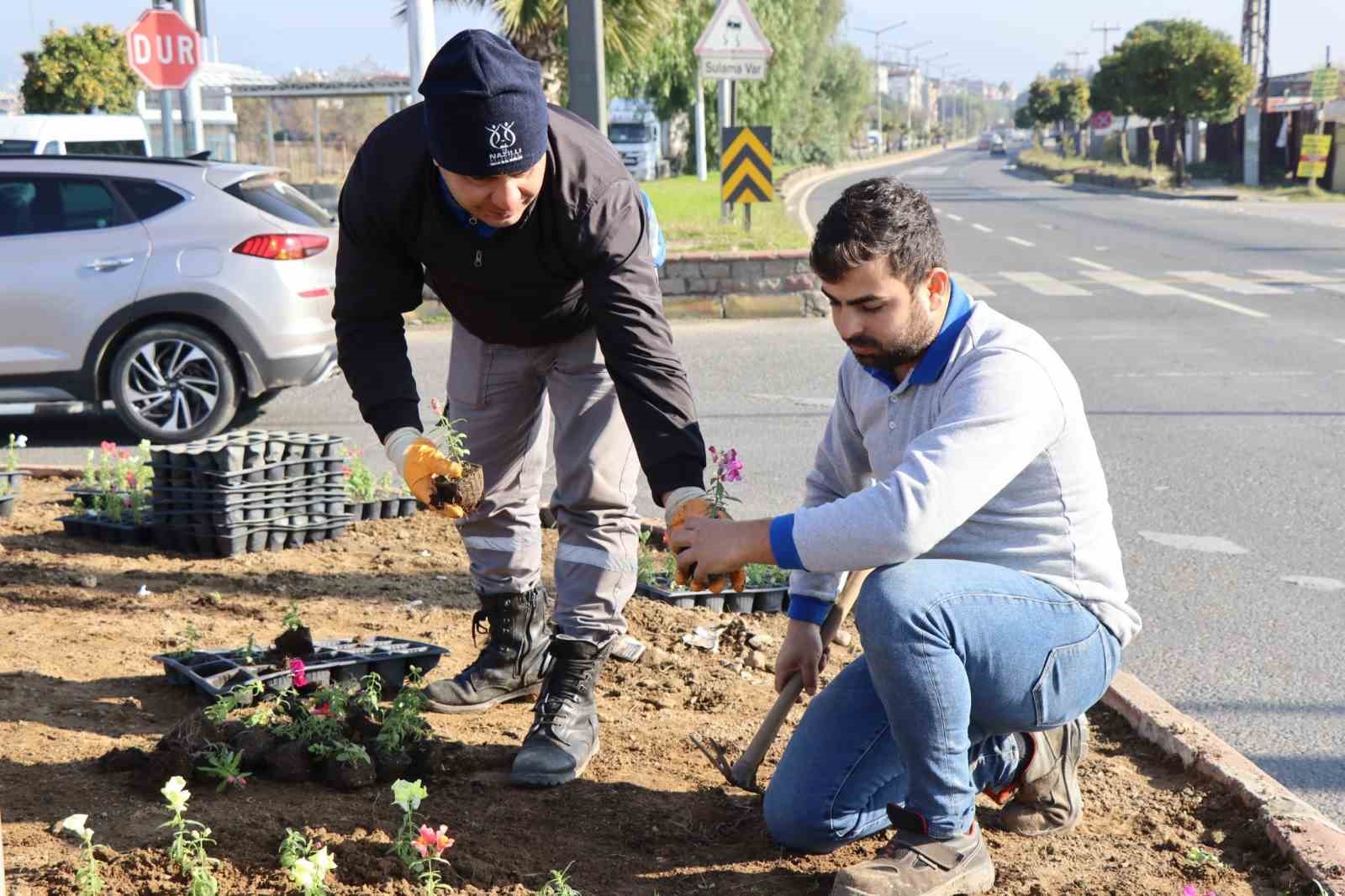 Nazilli Belediyesi karayolu üzerinde peyzaj çalışması başlattı
